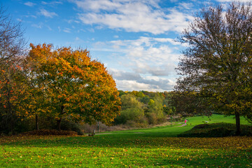 Loguhton Park in autumn season in Milton Keynes, England