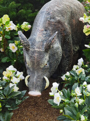 Sculpture of a wild boar in a garden