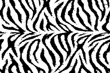 Full Seamless Zebra Tiger Worn Pattern Textile Texture. Distressed Vector Background. Black and White Animal Skin for Women Dress Fabric Print.