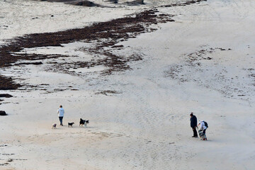 Des gens qui promènent leur chien sur une plage de Bretagne