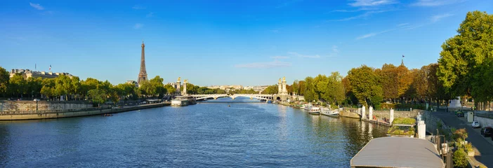 Photo sur Plexiglas Pont Alexandre III Pont Alexandre III bridge on seine river with Eiffel Tower in Paris. France