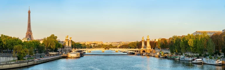 Photo sur Plexiglas Pont Alexandre III Pont Pont Alexandre III sur la seine avec la Tour Eiffel à Paris. France
