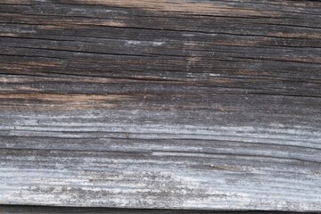 Fototapeta premium The old wood texture with natural patterns