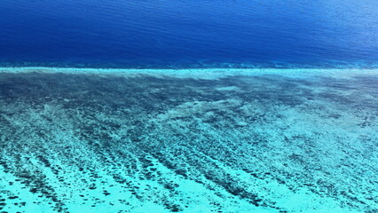 Obraz premium Arlington Reef seen through the shallow waters covering the Great Barrier Reef. Queensland-Australia-315