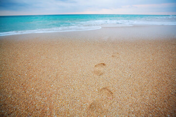 Footprint