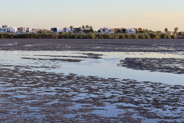 Naklejka premium View of low tide with little water in a bay of La Paz in Mexico