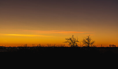 Morning sunrise over dark bushes and trees at fall