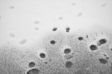 Fototapeta na wymiar Background with paw prints in wet white first snow