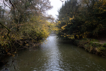 The River Mole