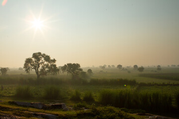 Neblige Landschaft in Rajasthan