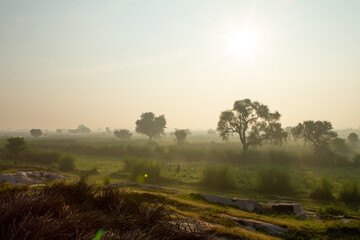 Naklejka na ściany i meble Neblige Landschaft in Rajasthan