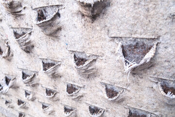 Surface of a dry vertical garden, under renovation, empty flowerpots.