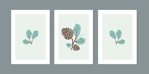 Three frame of fir cone set. Minimalist wall art decor with pastel green, brown. Winter and autumn hand draw pinecone cones background. Holiday season, christmas tree fabric print. Vector illustration