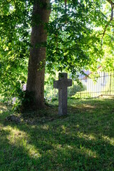 FU 2022-07-08 Altensteig 114 Neben dem Baum steht ein alter Grabstein