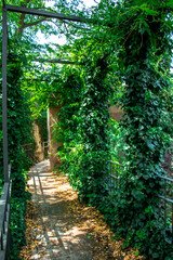 Obraz premium Park in the old town of Girona. Catalonia