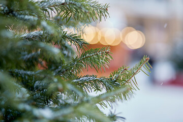 Aesthetics snowy fir tree outside with bokeh at snowy day. Merry Christmas and Happy holidays background