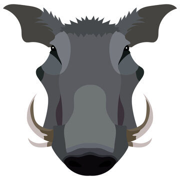 Boar, wild pig animal sketch. Hog or african warthog head isolated vector icon of forest and safari mammal with sharp tusk for hunting club symbol, zoo mascot or wildlife themes design