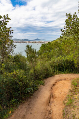 Trail in forest with Canto Grande beach in background