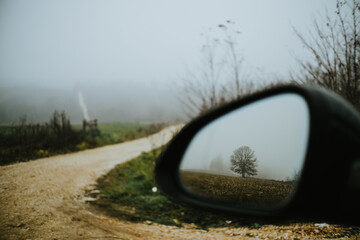 Lonely tree in back mirror of the car in fog. Autumn photo