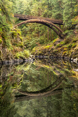Moulton Falls Foot Bridge, Vertical Orientation, Lewis River, Washington, Taken in Autumn