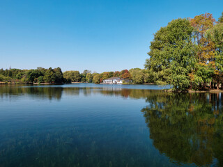 Peaceful landscape of Shanghai Gongqing forest park in sunny autumn day, colorful trees with blue sky and reflection in lake.