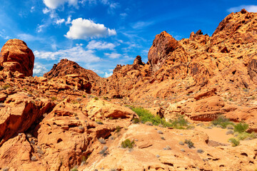 Fototapeta premium Valley of Fire State Park