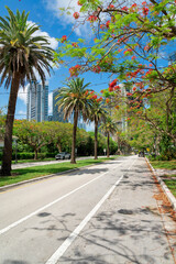 Fototapeta na wymiar Road with white lines and median strip with palm trees and grass at Miami, Florida