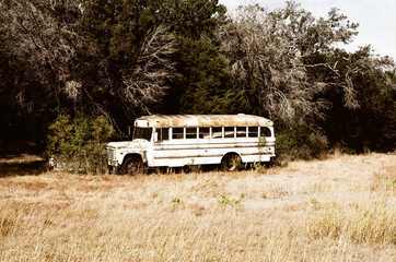 Abandoned School Bus in the Forest