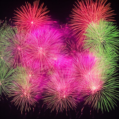 fireworks in the night