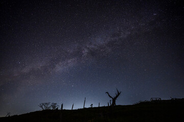大台ヶ原　星空
