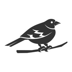 finch bird logo template Icon Illustration Brand Identity