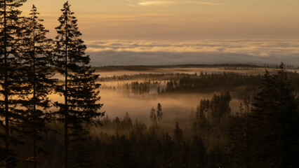 foggy morning sunrise 