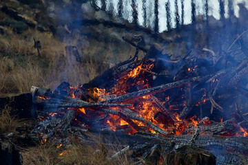 heat and smoke rise from the fire of a controlled burn near shaver lake, california