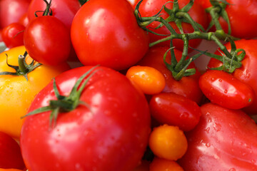 Tasty fresh tomatoes as background, closeup view