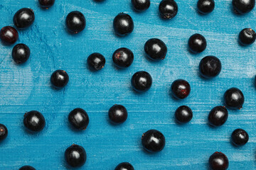 Ripe elderberries on light blue wooden table, flat lay