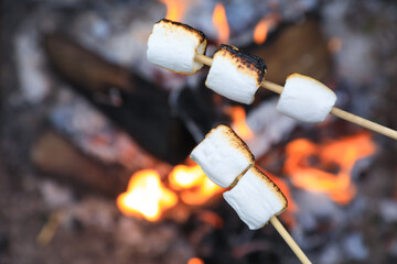 Delicious puffy marshmallows roasting over bonfire, closeup. Space for text