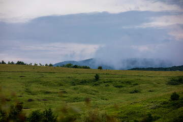 Obraz premium Green summer landscape in rural Romania