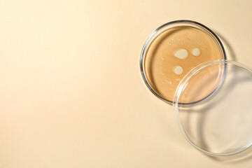 Petri dish with color liquid and lid on beige background, flat lay. Space for text