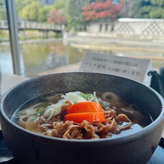 stew with vegetables