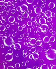 purple bubbles background