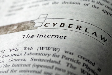 cyberlaw the internet or www written in business law and ethics book