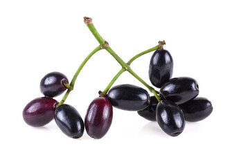 Jambolan plum or Java plum isolated on white background
