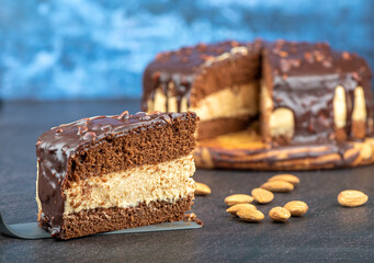 Selective focus on a piece of chocolate biscuit cake on a culinary spatula.