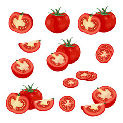 Tomato illustration element