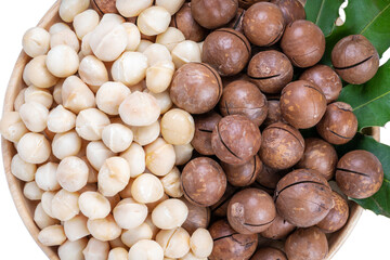 Macadamia nuts with leaf and Macadamia with hard shell on wooden background on white PNG File.