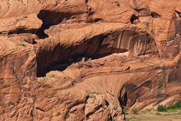 Cliff dwellings, Canyon de Chelle, Arizona. Green trees on the canyon floor.