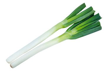Obraz na płótnie Canvas Fresh Japanese Bunching Onion on bamboo basket, Green Japanese spring onions on white PNG File.