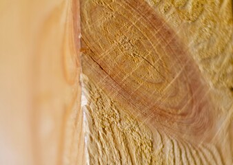 wood
wood
wood texture
background tree
substrate wood wood fiber wood
wood background
wood background substrate texture
