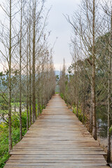 Daytime view of the country side landscape around Nantou area