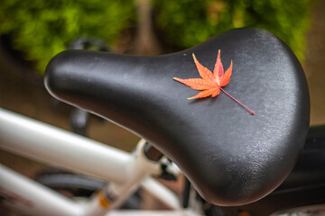 落ち葉と自転車のサドル　秋のイメージ - obrazy, fototapety, plakaty